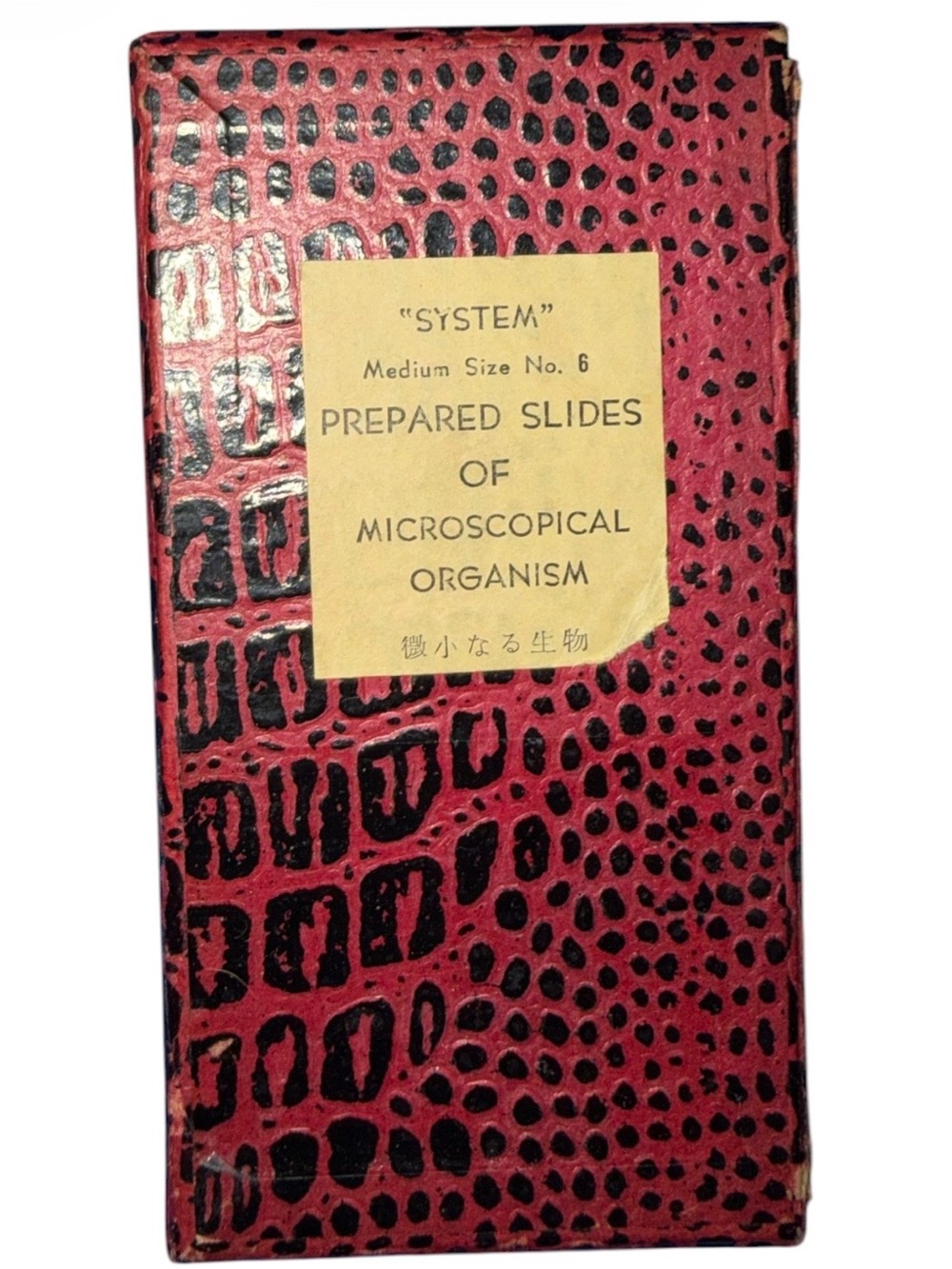 Vintage Prepared Microscope Slides Animal